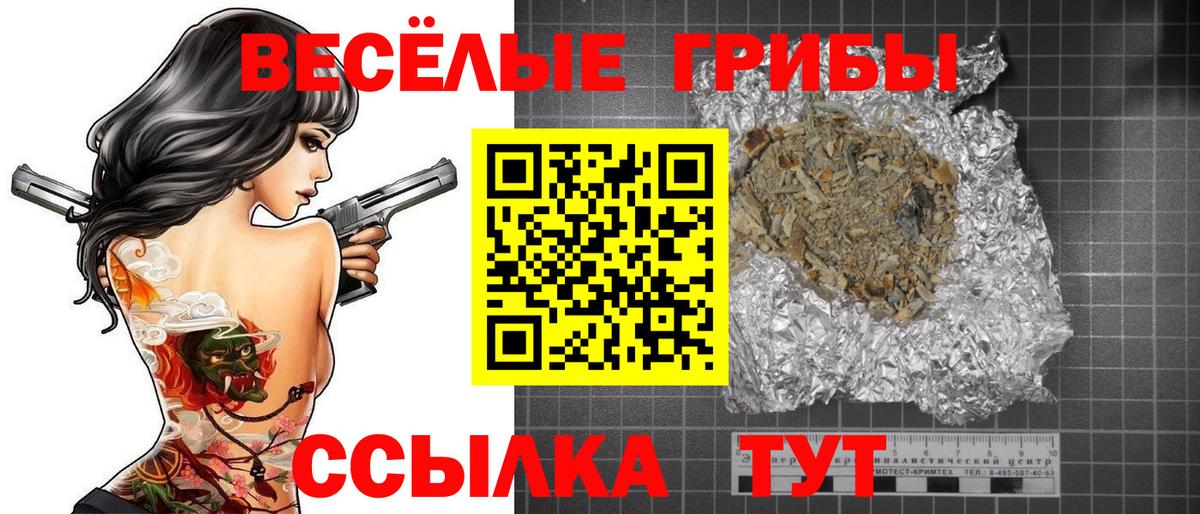 наркотики  Псилоцибиновые грибы GOLDEN TEACHER  Вход с VPN  Касимов 